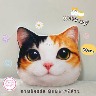 🐈หมอนอิงน้องแมว หมอนพิมพ์ลายแมว มีให้เลือกหลายลายค่ะ ภาพสีคมชัด ขนาด 60cm. พิมพ์ลาย2ด้าน น่ารักสุดๆ สัมผัสนุ่มมือ💖