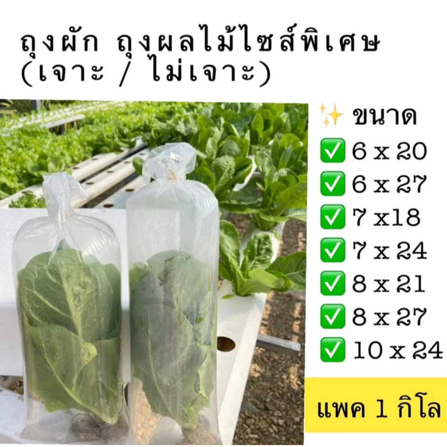 🛍️ถุงใส่ผัก ผลไม้ เนื้อสัตว์ (LL) ยาวพิเศษ แพค 1 กิโล LLDPE ถุงเจาะรู ถุงไม่เจาะรู ถุงแช่เย็น ถุงแช่แข็ง ยี่ห้อม้าน้ำคู่