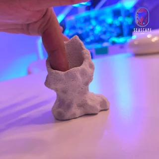 บ้านแอนเล็ก ปลาการ์ตูน ช่วยให้แอนนมไม่เดิน 1ช่องและ 3ช่อง