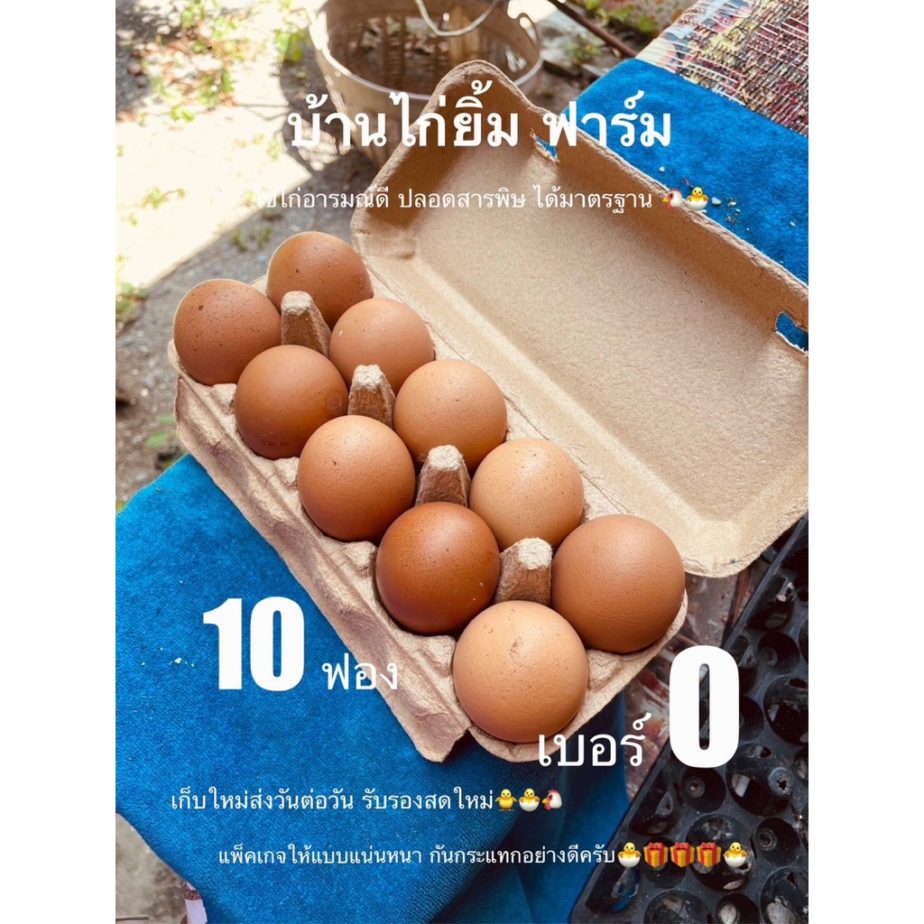 ไข่ไก่ เบอร์0 10ฟอง เลี้ยงธรรมชาติ ส่งฟรี