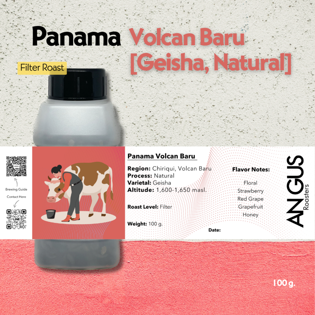 Angus Coffee Roasters เมล็ดกาแฟคั่วอ่อน Filter – Panama Volcan Baru Geisha Natural ราคา ถูกที่สุด ดีลบีเคเค