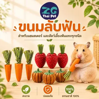 [ZC] ขนมลับฟันรูปฟักทอง (แครอทผสมหญ้า) ขนมลับฟันสำหรับสัตว์เลี้ยงฟันแทะ **สีจริงเข้มกว่าในรูปนะคะ** 4.5 cm.