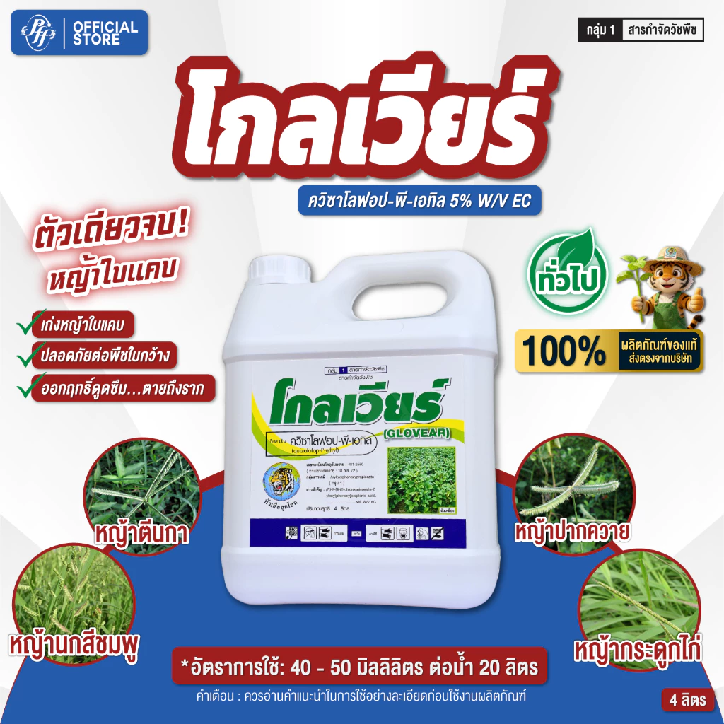 โกลเวียร์ ควิซาโลฟอป-พี-เอทิล 4 ลิตร ลุยไร่มัน พ่นทับยอดได้ เก่งหญ้าใบแคบ ปลอดภัยต่อพืชใบกว้าง