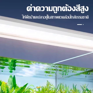ขาตั้งไฟ LED สำหรับตู้ปลา ไฟ LED พืชน้ำ ประหยัดพลังงาน กันน้ำ กระเด็น เหมาะสำหรับปลาและพืชน้ำ