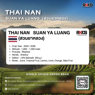สารกาแฟไทยสวนยาหลวง จ.น่าน,Nan Suan Ya Luang -100% บรรจุ 5 - 20kg. RK.Coffeebean