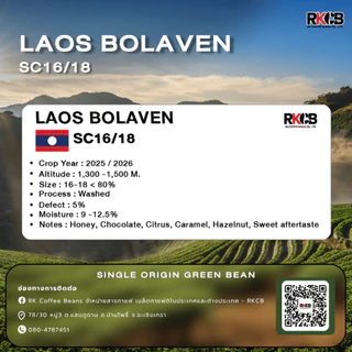สารกาแฟอราบิก้าลาว โบลาเวน Laos Bolaven - SC16/18 บรรจุ 500g - 1Kg. RK.Coffeebean. [พร้อมส่ง]
