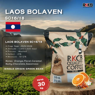 สารกาแฟอราบิก้าลาว โบลาเวน Laos Bolaven SC16/18 บรรจุ 25 kg. -30 kg. RK.Coffeebean.