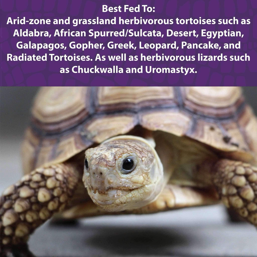Mazuri Tortoise Diet มาซูริ 5M21 สูตรเก่า อาหารเม็ดเต่าบก
