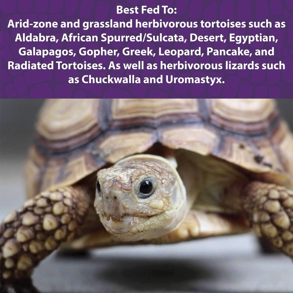 Mazuri Tortoise Diet มาซูริ 5M21 สูตรเก่า อาหารเม็ดเต่าบก