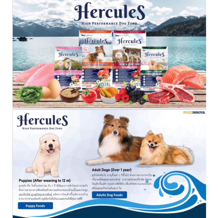 Hercules 1 กิโลกรัม อาหารสุนัข เกรนฟรี บำรุงขนและข้อต่อ