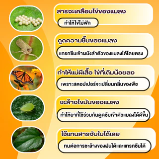 อีซี่พาส1แกลลอน5ลิตร