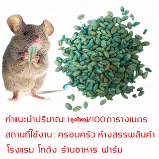 นำเข้าจากอเมริกา ยากำจัดหนู 3ซอง กำจัดหนูในบ้าน ร้านค้า โกดัง ใช้งานง่าย ออกฤทธิ์เร็ว เหมาะสำหรับกำจัดหนูโดยเฉพาะ