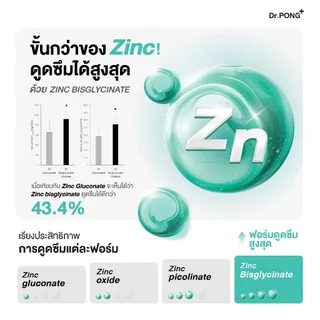 [ขายดี] Dr.PONG Zinc Bisglycinate ซิงค์ บิสกลีซิเนต 15มก ดูดซึมดี ช่วยเสริมภูมิ คุมมัน ลดสิว ดูแลผิว ผม เล็บ