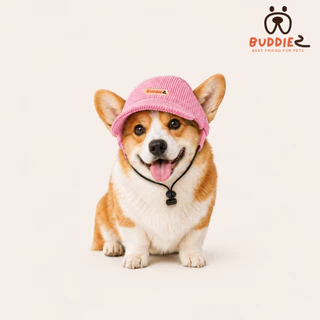 Buddiez หมวก สำหรับน้องหมาและน้องแมว ใส่ได้ทั้งเดินเล่น ถ่ายรูป หรือออกทริป ช่วยกันแดดและเพิ่มความน่ารักให้น้องๆ