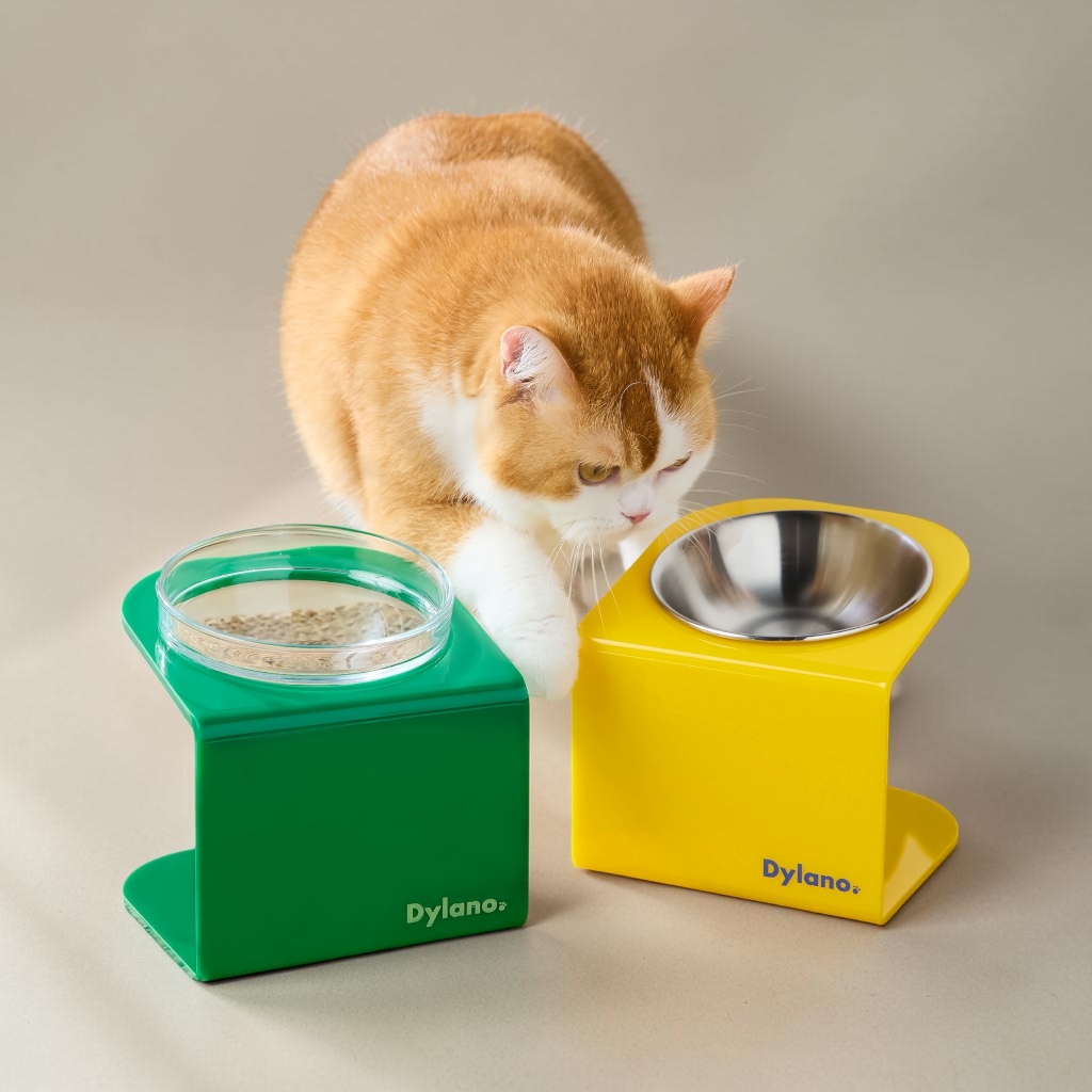 ชามอาหารยกสูงปรับองศา ไซส์ S+ | Dylano's S+ Stand with Bowl