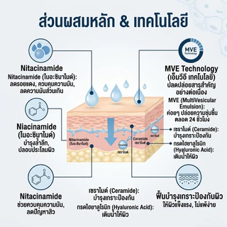 Facial Moisturising Lotion AM SPF50 / PM 52ml เซ็ตบำรุงผิวหน้า ฟื้นฟูเกราะป้องกันผิว ไม่เหนียวเหน