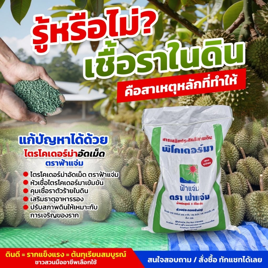 พีโคเดอร์มา ไตรโคเดอร์มาอัดเม็ด ตราฟ้าแจ่ม (ถุงละ 5 กิโลกรัม จำนวน 5 ถุง) ใช้ป้องกัน รักษาเชื้อราโรคพืชทางดิน