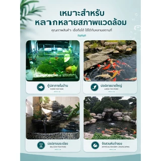 QQ DIY กล่องกรองน้ำตู้ปลา กรองคอนโดหลายชั้น กรองภายนอก สำหรับตู้ปลาและอ่างปลา ช่วยให้น้ำใส ลดของเสียในน้ำ