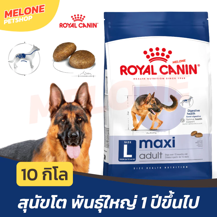 [กระสอบ 10 กิโล] Royal Canin Maxi Adult โรยัล คานิน อาหารสุนัข สุนัขโต หมา พันธุ์ ใหญ่ บำรุงขน บำรุงข้อ
