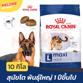[กระสอบ 10 กิโล] Royal Canin Maxi Adult โรยัล คานิน อาหารสุนัข สุนัขโต หมา พันธุ์ ใหญ่ บำรุงขน บำรุงข้อ