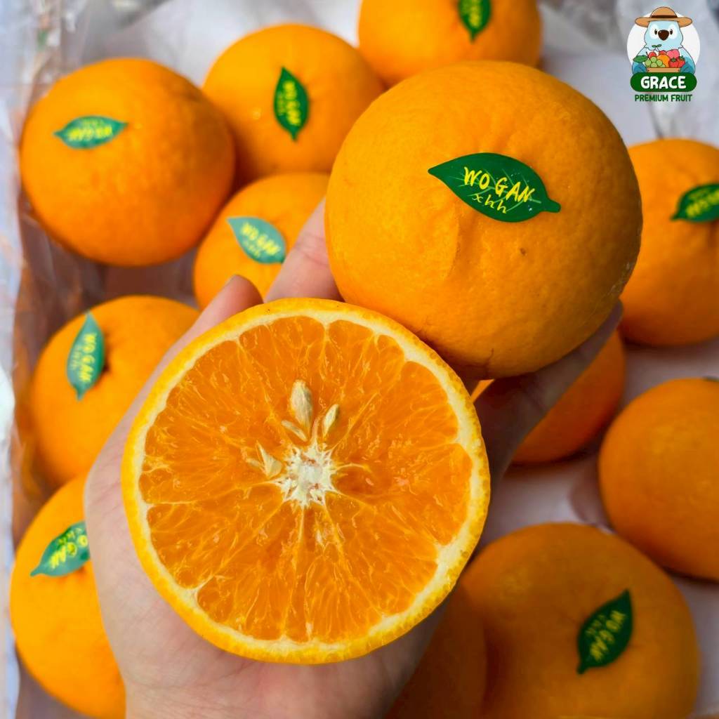 ส้มไต้หวัน 🍊🍊 หวานอร่อย น้ำเยอะ คัดก่อนส่งทุกลูก