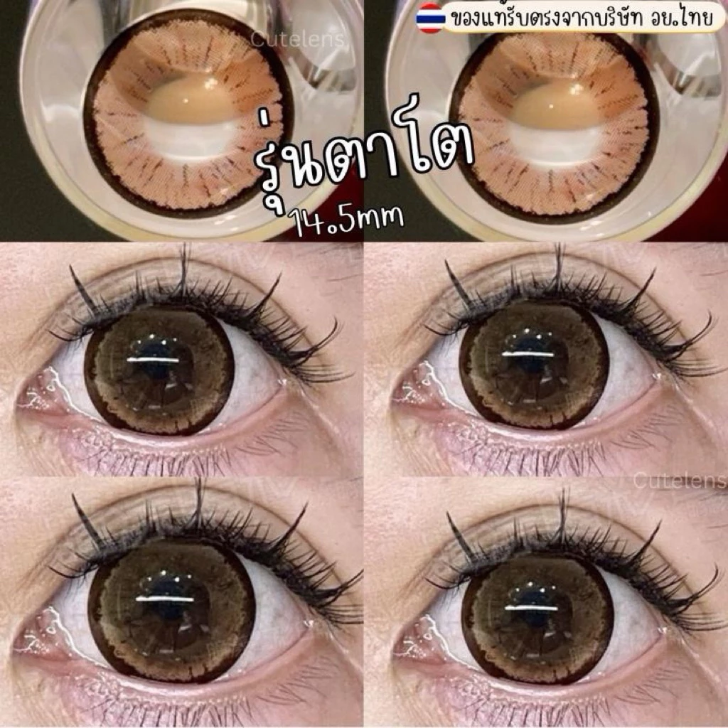 zoona Brown 14.5mm ขนาดตาโต อย.ไทยปลอดภัย (Bigeyes) สายตาปกติ กรองแสง uv ️จดทะเบียนถูกต้อง คอนแทคเลนส์สัญชาติเกาหลี
