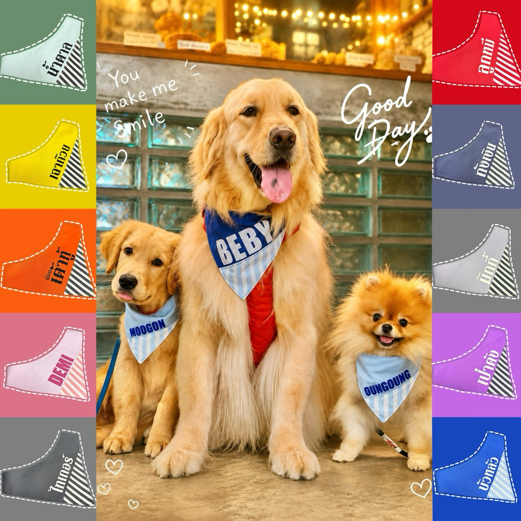 Ha-Shi SHOP ปลอกคอปลายริ้ว แถมติดชื่อฟรีมีหลายโทนสี/แจ้งชื่อทางแชท