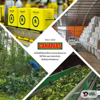 CANARIAS 1KG ชาเยอร์บามาเต (Yerba Mate) มีอย. ชามาเตแท้จากอุรุกวัย