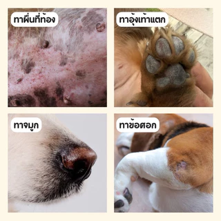 บาล์มบำรุงอุ้งเท้าสุนัขและแมว บำรุงเติมความชุ่มชื้น ลดอาการคัน สุนัขเป็นผื่นแดง ลดการแห้งแตกอุ้งเท้า จมูก ข้อศอก