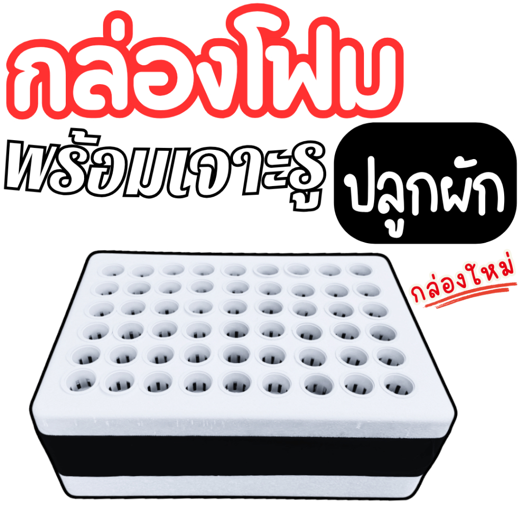 กล่องโฟมปลูกผัก กล่องโฟมพร้อมเจาะรู ลังโฟมปลูกผัก กล่องกุ้ง 10 กก. ปลูกผักไฮโดรโปนิกส์ (กล่องใหม่)