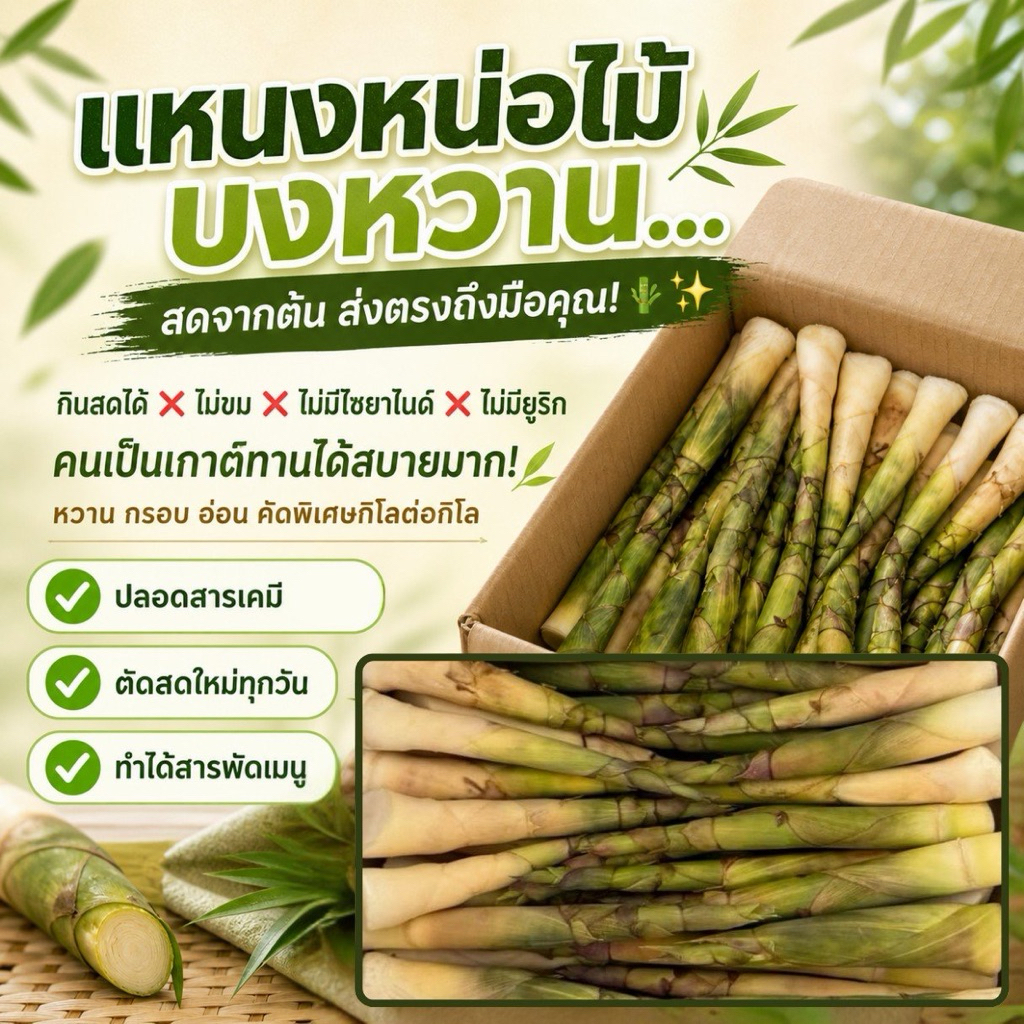 แหนงบงหวานสด(สั่งล่วงหน้าถูกกว่า ตัดแล้วส่งทันที ภายใน1-7วัน)ปลอดจากเคมี รสหวานนิดๆ กินสดได้ ต้มก็ดี เป็นเกาต์ทานได้