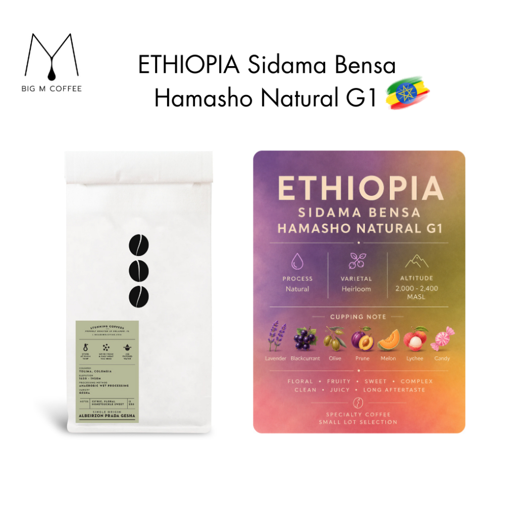 Big m เมล็ดกาแฟ ETHIOPIA Sidama Bensa Hamasho Natural G1