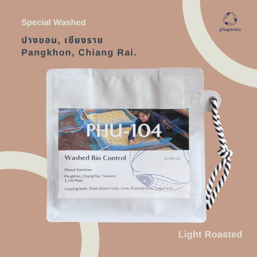 กาแฟคั่วอ่อน PHU-104 Pangkhon 100G. Chiang Rai Thailand