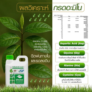 JSP EM หัวเชื้อจุลินทรีย์เข้มข้น ขนาด 1 ลิตร ช่วยฟื้นฟูดิน บำรุงต้น บำรุงราก บำรุงใบ เพิ่มผลผลิต