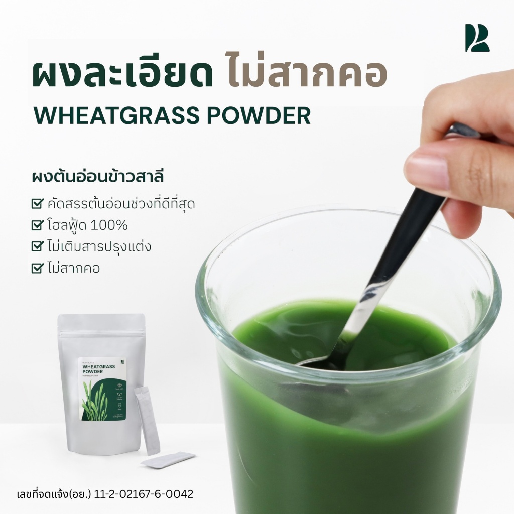 Rootroute | ผงต้นอ่อนข้าวสาลี Wheatgrass Powder – ผงวีทกราส 100% Superfine ละลายง่าย  🌱