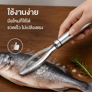 ที่ขูดเกล็ดปลา สแตนเลส 304 คมทนทาน ขูดเกล็ดสะอาด ไม่ทำร้ายเนื้อปลา ล้างง่าย จับถนัดมือ