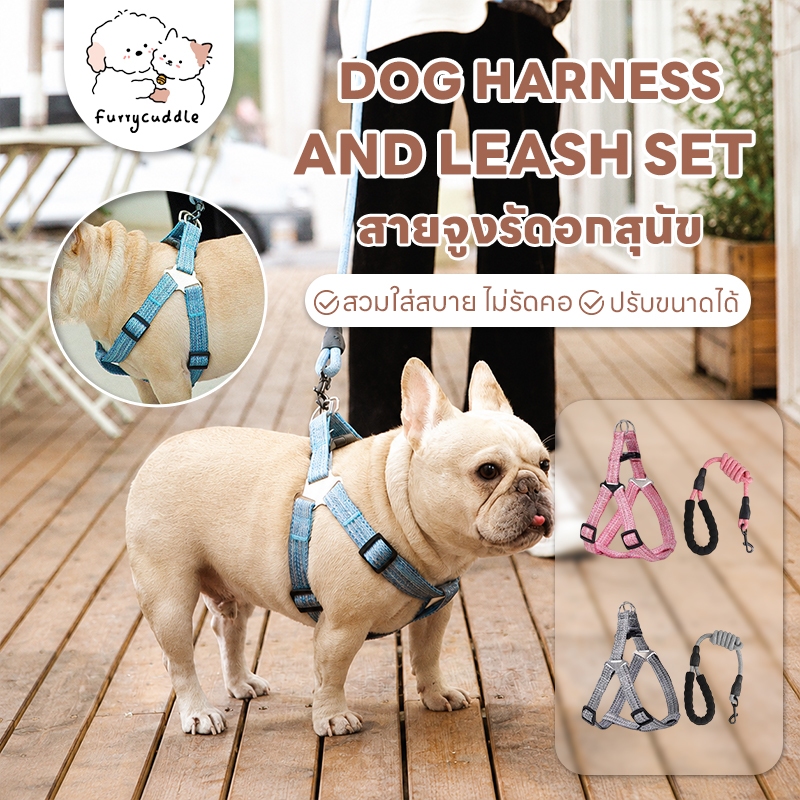 FurryCuddle พร้อมส่ง สายจูงสุนัข สายจูงรัดอก หลายสี หลายไซส์ สายจูงสัตว์เลี้ยง COD MIP109