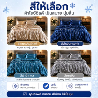 ชุดเครื่องนอนเย็น 4 ชิ้น (ชุดผ้าปูที่นอน 4in1) ชนิดผ้าซาติน เนื้อนิ่ม เย็นสบาย ผ้าปูที่นอนรัดมุม + ปลอกหมอน + ปลอกผ้านวม