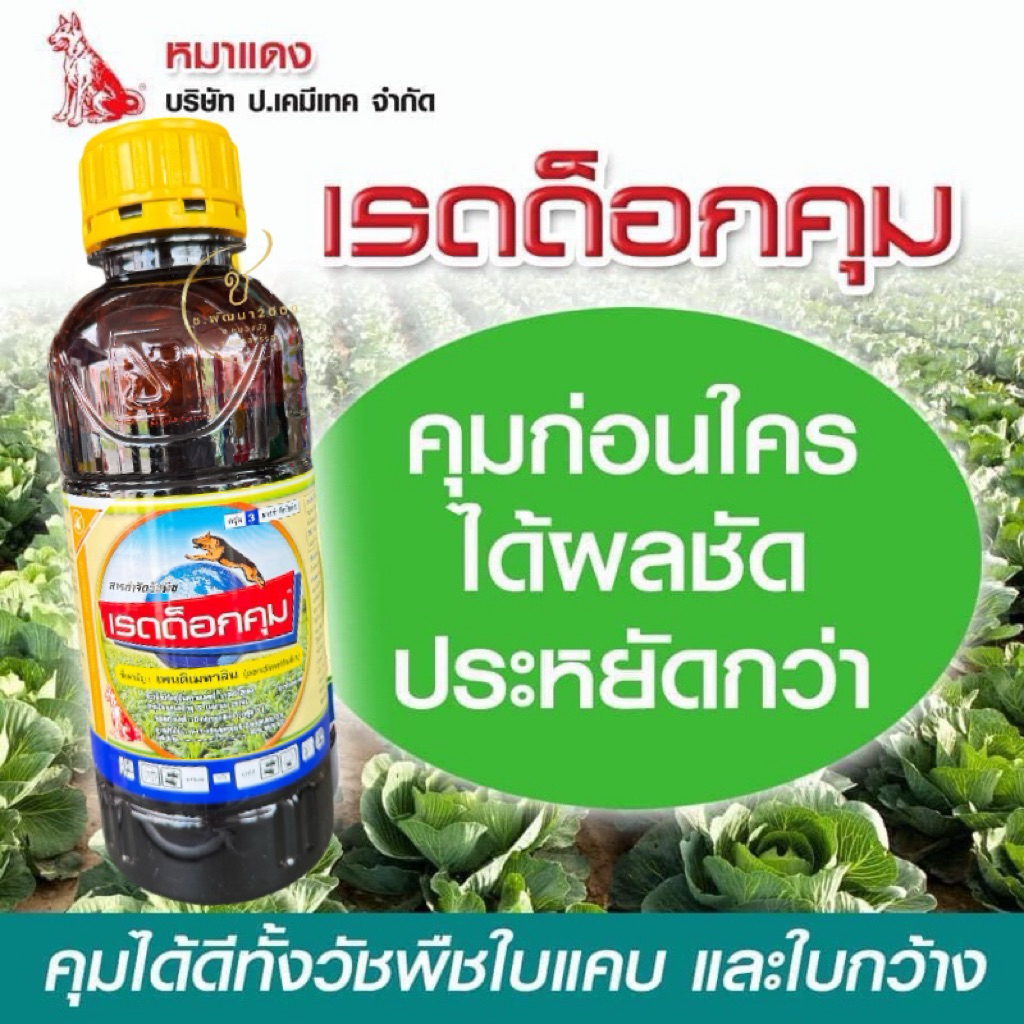 เรดด็อกคุม 1ลิตร ตราหมาแดง♨️โฉมใหม่ 💢 ผลิต28/04/2026 คุมน้ำเหลือง(เพนดิเมทาลิน) คุมแห้ง คุมหญ้าน้ำเหลือง