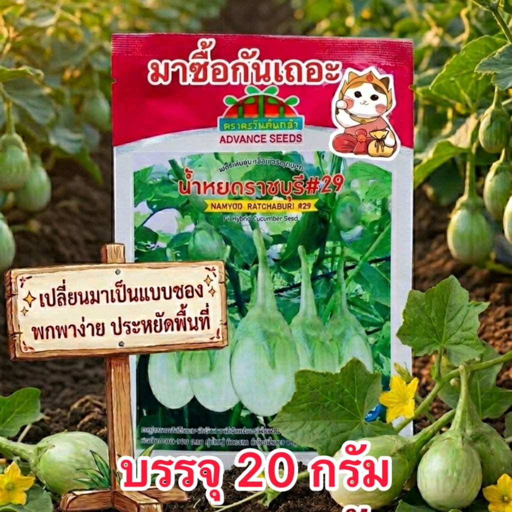 เมล็ดพันธุ์ มะเขือเปราะน้ำหยดราชบุรี#29 20g