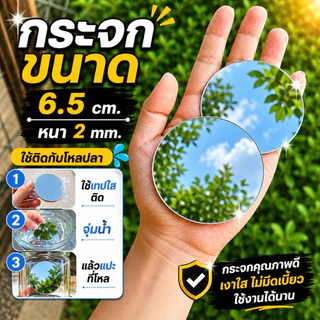 (ชุด12ชิ้น)กระจกฟอร์มปลา วงกลมขนาด6.5cm.