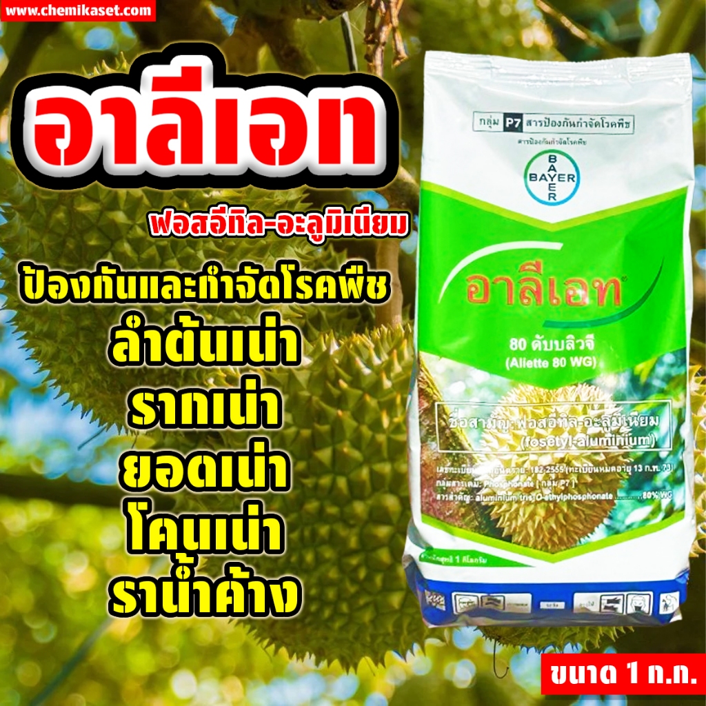 อาลีเอท (ฟอสอิทิล-อะลูมิเนียม) ขนาด 1 ก.ก. ป้องกันเชื้อรา โรครากเน่า โรคเน่า โรคไฟท๊อป
