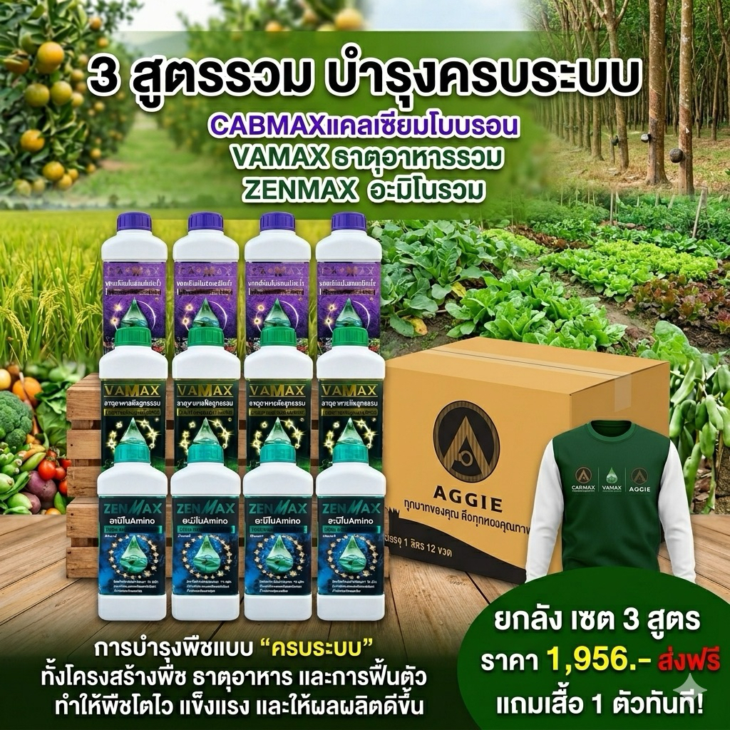(C4+V4+Z4+เสื้อ1) 3 สูตร ยกลัง แถมเสื้อ cabmaxแคลเซียมโบรอน+vamaxธาตุรวม+zenmaxอะมิโนรวมเข้มข้น (ชุดนี้ได้ 12 ลิตร)