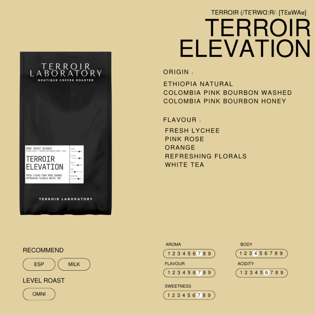 Terroir Elevation | Omni Roast | เมล็ดกาแฟ Blend