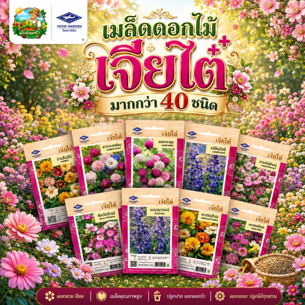 ดอกไม้ เจียไต๋ กว่า30ชนิด ดอกไม้ซอง เมล็ดดอก ทานตะวัน ดาวกระจาย ดาวเรือง บานชื่น เมล็ดพันธุ์