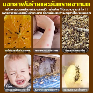 【ส่งจากกรุงเทพฯ】เจลกำจัดมด ยาฆ่ามด 45g ตายยกรัง าฆ่ามด แอนตี้แอนท์ เจลหยดเดียว ตายยกรัง กำจัดมด
