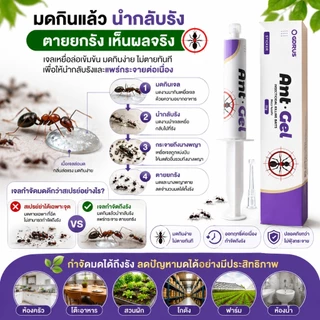🐜พร้อมส่ง🐜Ant Gel เจลกำจัดมด กำจัดถึงรัง เห็นผลไว ปลอดภัย ใช้งานง่าย เจลล่อมด มดกินแล้วตายยกรัง ใช้ได้ทั้งบ้าน