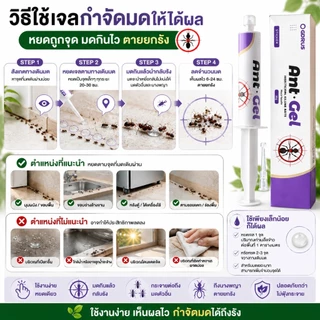 🐜พร้อมส่ง🐜Ant Gel เจลกำจัดมด กำจัดถึงรัง เห็นผลไว ปลอดภัย ใช้งานง่าย เจลล่อมด มดกินแล้วตายยกรัง ใช้ได้ทั้งบ้าน