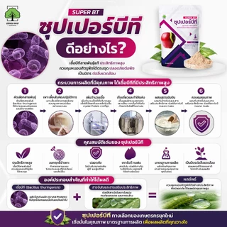 ซุปเปอร์บีที ตราเทพมงคล ชีวภัณฑ์กำจัดหนอน เชื้อบีที (Bacillus thuringiensis) 500 กรัม 1 ซอง