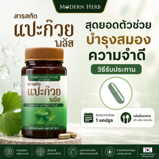Modern Herb Ginkgo Extract Plus สารสกัดแปะก๊วย